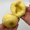 Potato Stress Ball Fidget Toy